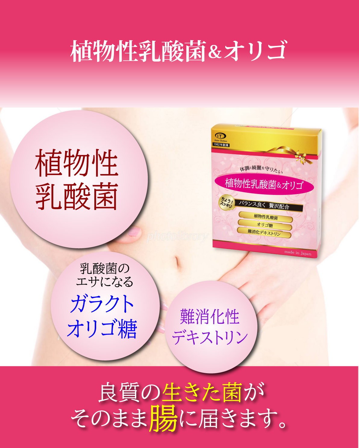 植物性乳酸菌＆オリゴ 免疫細胞 生きたまま菌が腸に届く 植物性乳酸菌
